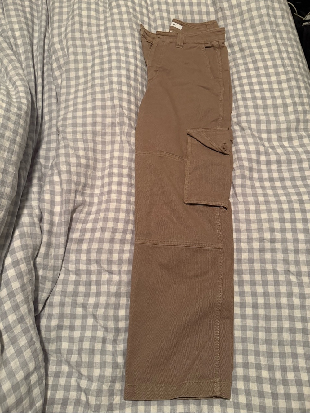 TNA AritziaStraight Leg Cargo Pants in Brown